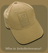 Into Botswana Safari catalog 2011